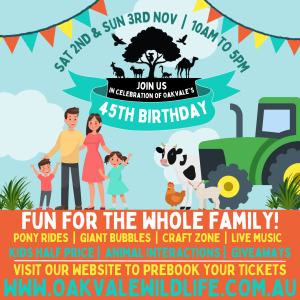 45th Birthday Promo Tile - Social Media